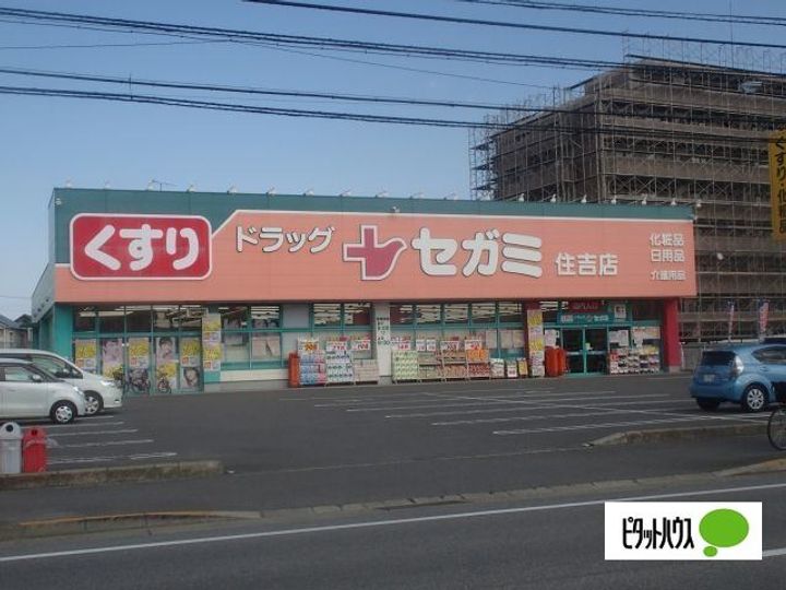 徳島県徳島市川内町松岡(一戸建)の賃貸物件の周辺