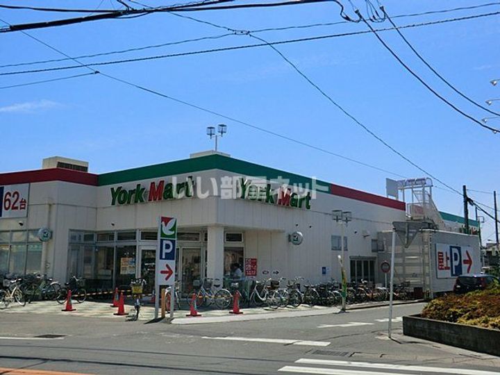埼玉県さいたま市見沼区大字南中丸(一戸建)の賃貸物件の周辺