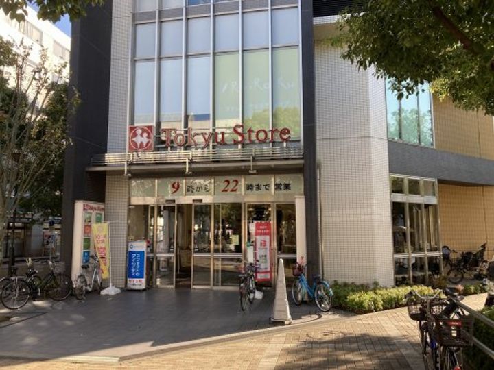 神奈川県横浜市都筑区茅ケ崎南3(マンション)の賃貸物件の周辺