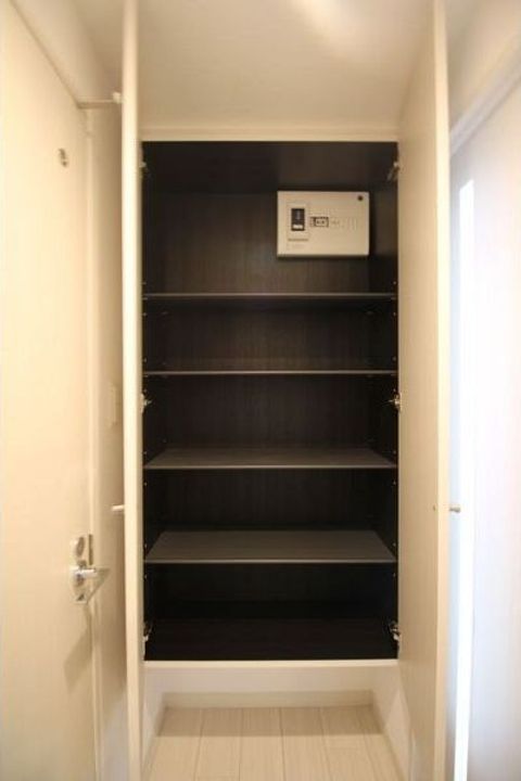 北海道札幌市白石区菊水六条2(マンション)の賃貸物件の玄関