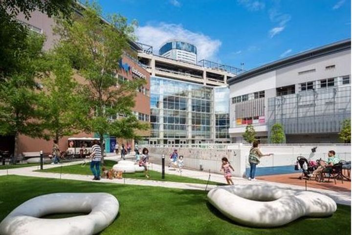 東京都江東区枝川1(マンション)の賃貸物件の周辺