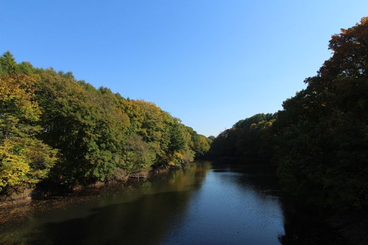 UR大麻中町の周辺