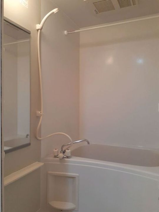 ブラウベルク Aの風呂