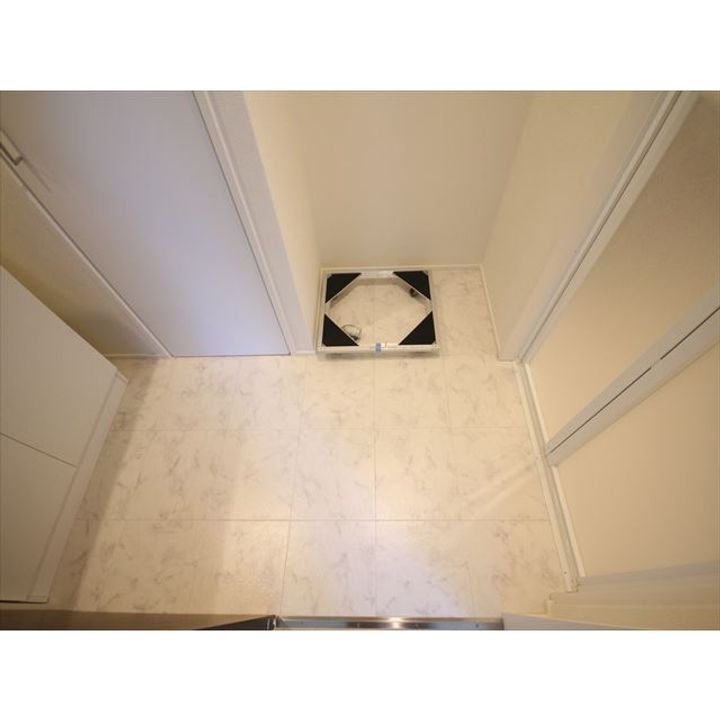 Platanusのその他画像