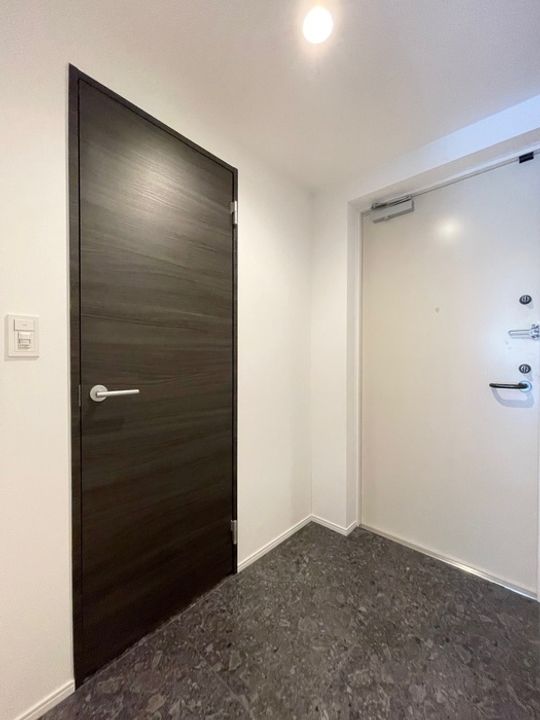 東京都練馬区南田中2(マンション)の賃貸物件の玄関