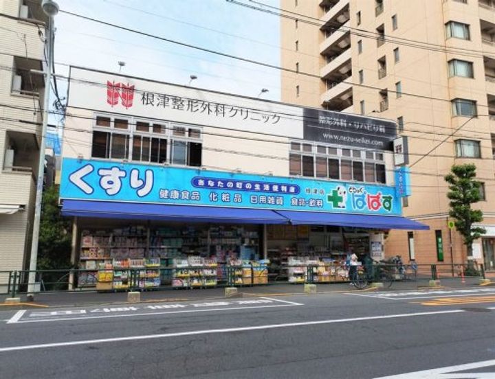 ラサンテ文京千駄木の周辺