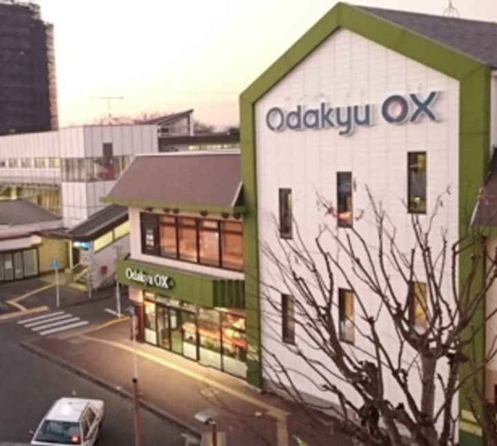 ベルクワルツ座間【01】の周辺