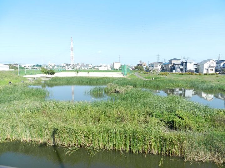 埼玉県草加市西町(マンション)の賃貸物件の周辺