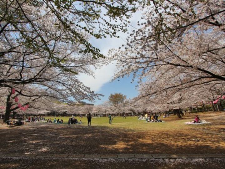T’s garden蕨IIIの周辺