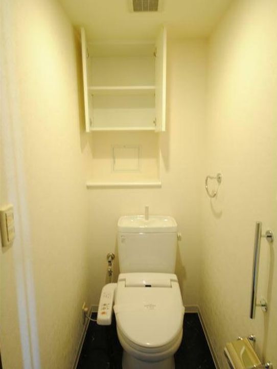 東京都港区高輪1(マンション)の賃貸物件の内装