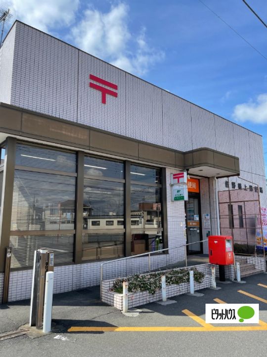 ダンデライオンの周辺