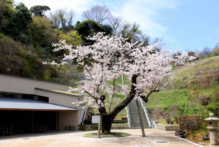 シャトール田口金沢八景の周辺