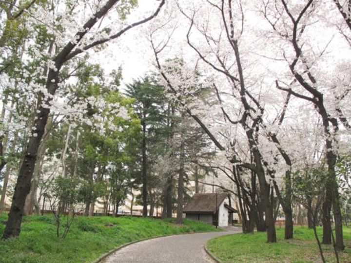 東京都北区滝野川4(一戸建)の賃貸物件の周辺