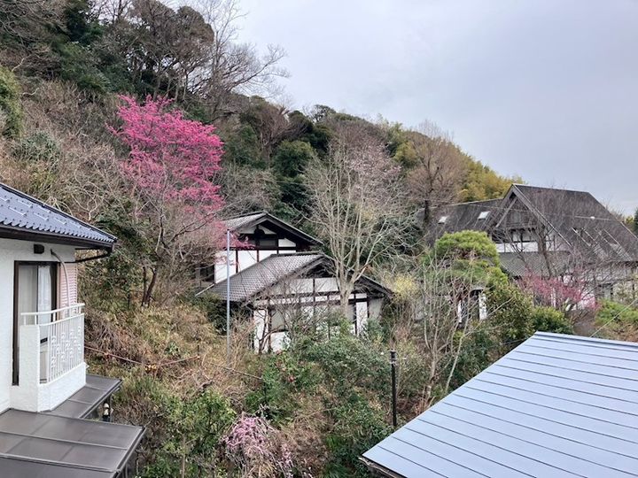 神奈川県鎌倉市岡本1(アパート)の賃貸物件のその他画像