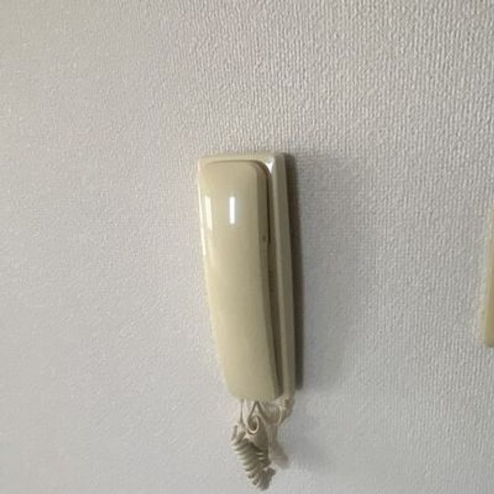 熊本県熊本市中央区坪井3(マンション)の賃貸物件の内装