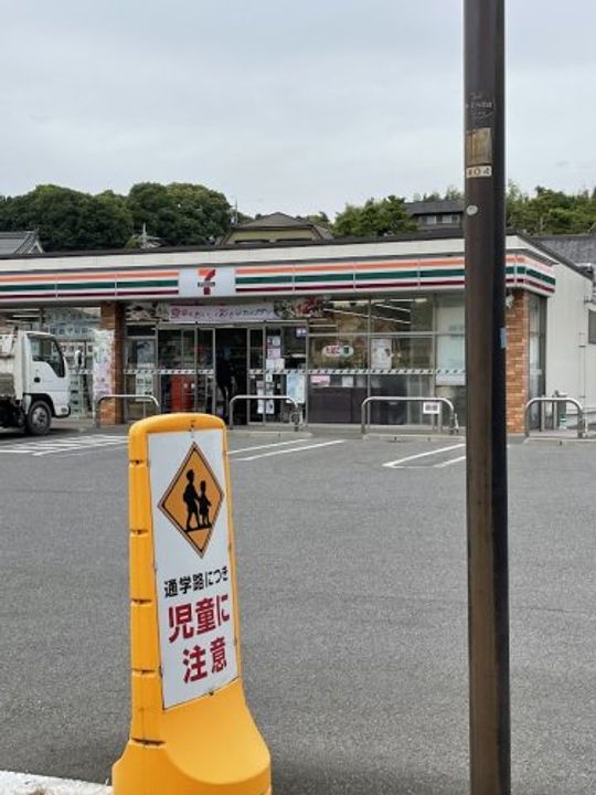 クリプトメリアの周辺