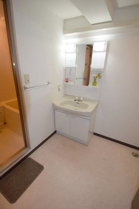 埼玉県川口市長蔵2(マンション)の賃貸物件の内装