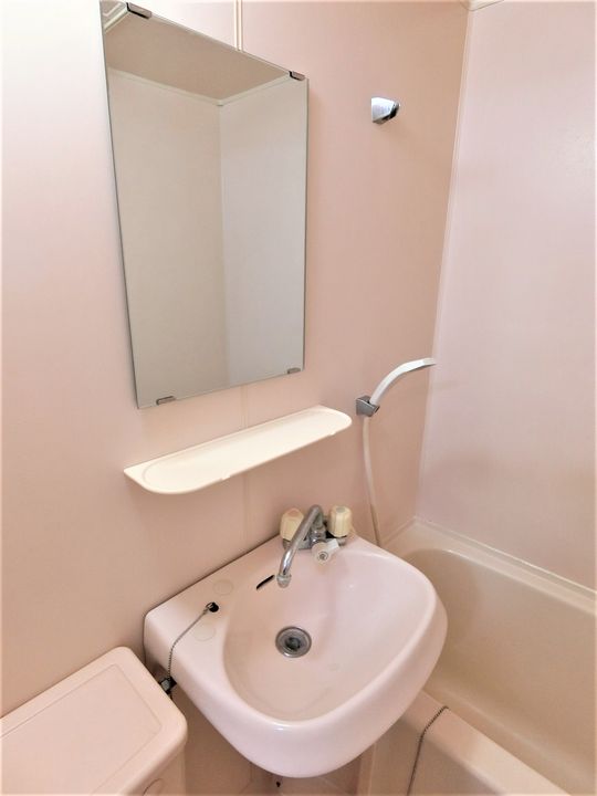 グリーンハウスの内装