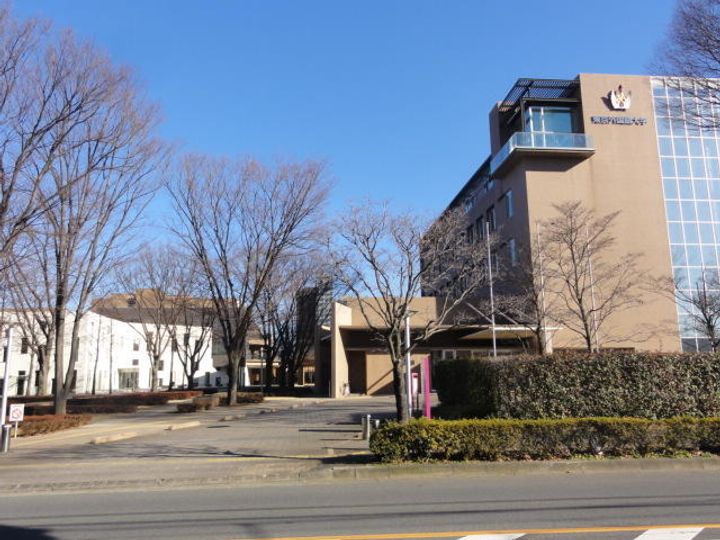 グリーンハウスの周辺