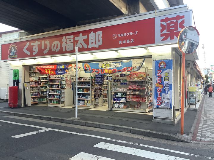 セジョリ東向島の周辺
