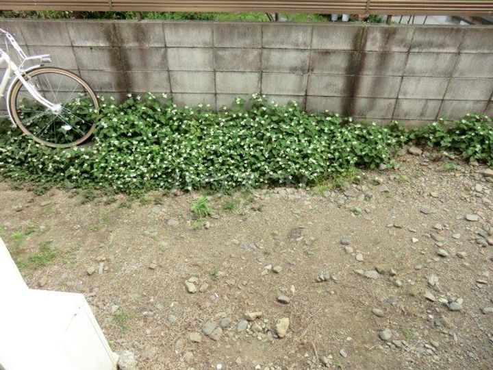 マンション青木の内装