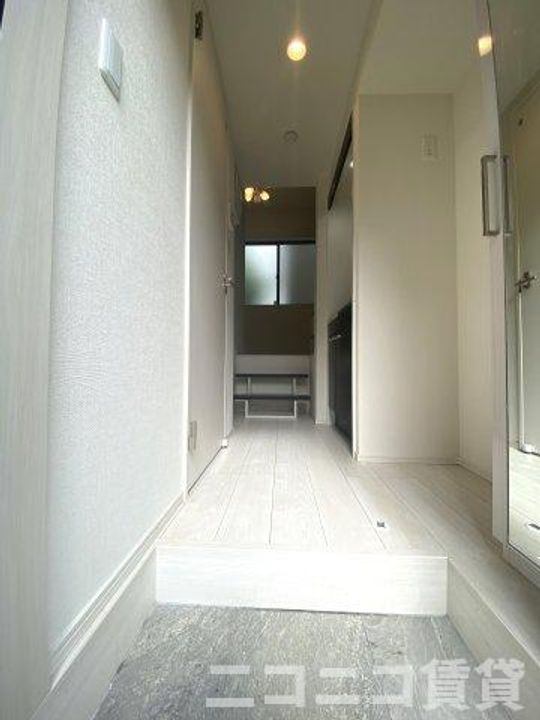 ハーモニーテラス竹ノ塚IIIの玄関