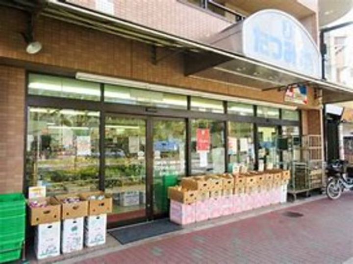 東京都江東区枝川1(一戸建)の賃貸物件の周辺