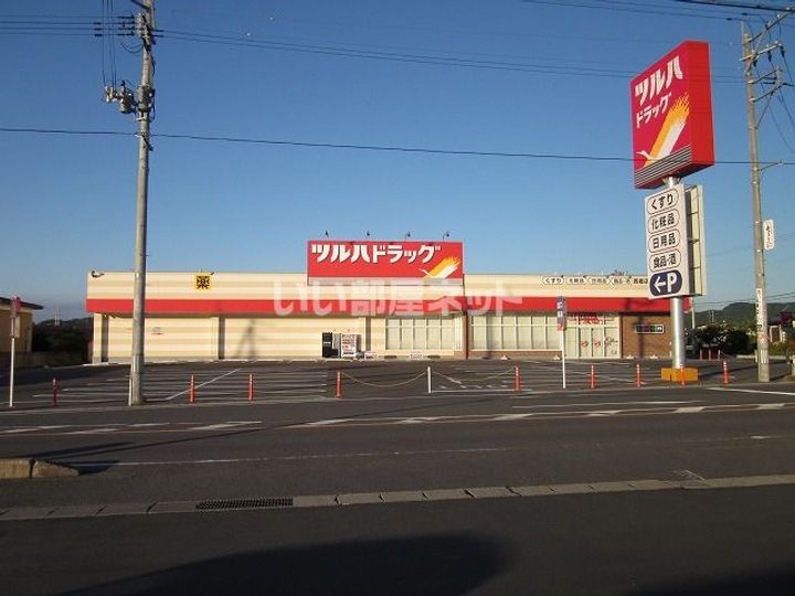 サニー・フィオーレの周辺