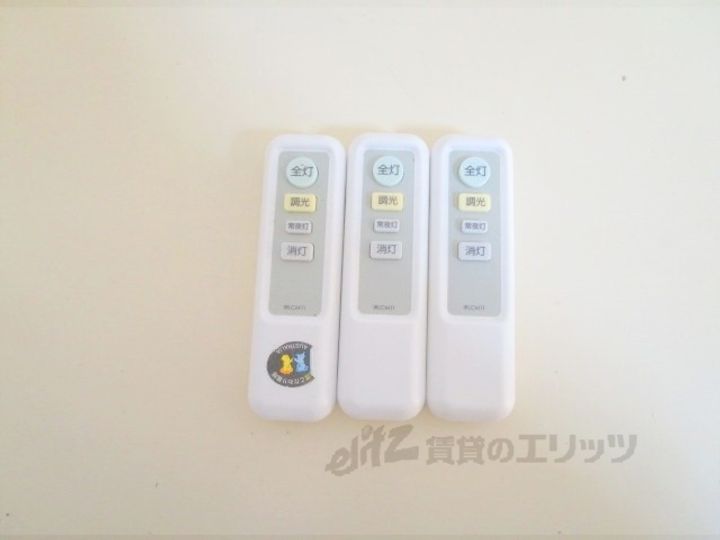 パナハイツフェリカのその他画像