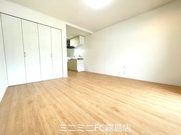 ロハスの内装