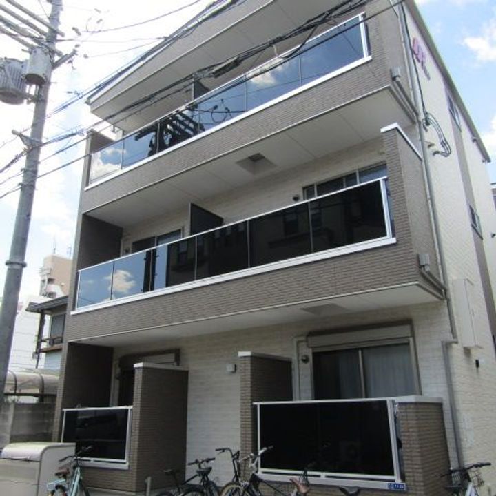 F asecia Nephelの外観