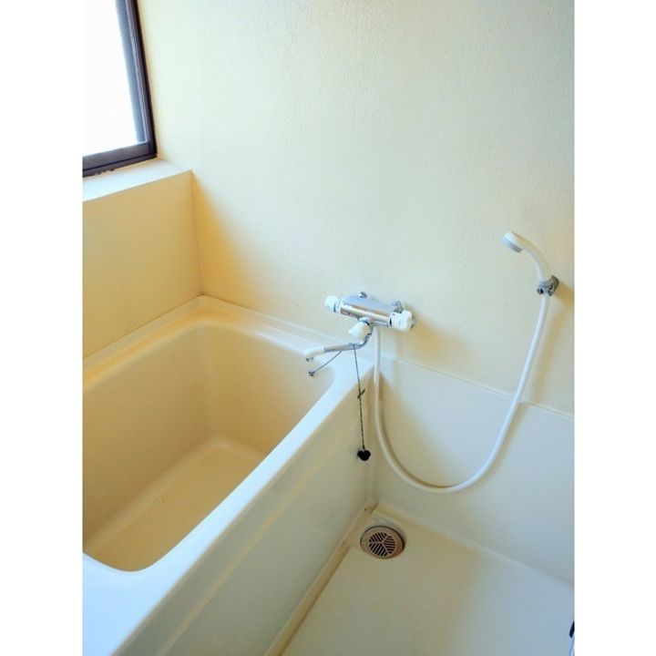 山梨県中央市東花輪(一戸建)の賃貸物件の風呂