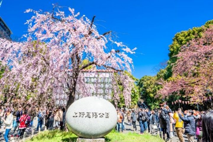 東京都台東区上野3(マンション)の賃貸物件の周辺