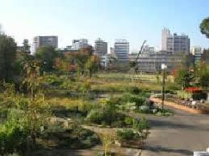 メゾン・ド・ぎおんの周辺