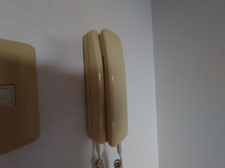 静岡県浜松市中央区和合町(マンション)の賃貸物件の内装