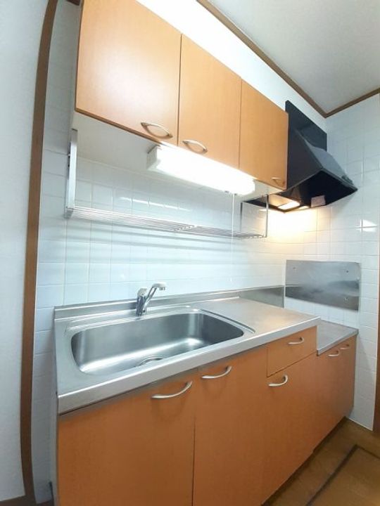 ソル・プロムナ-ドAのキッチン