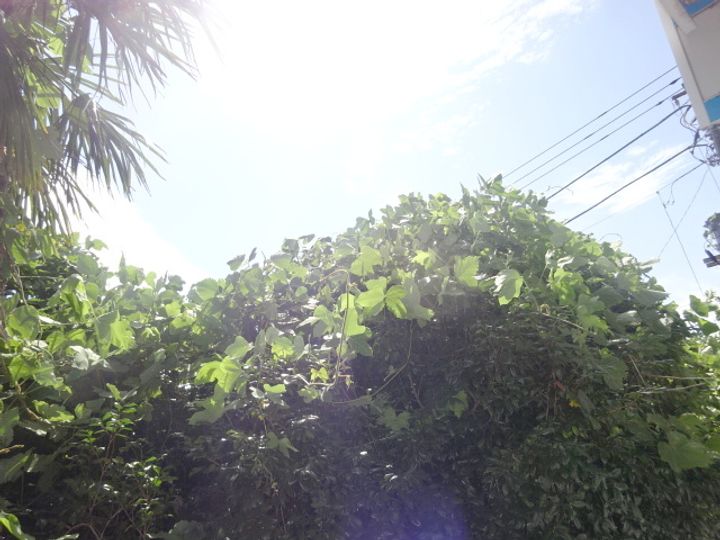 グレイスメゾンのその他画像