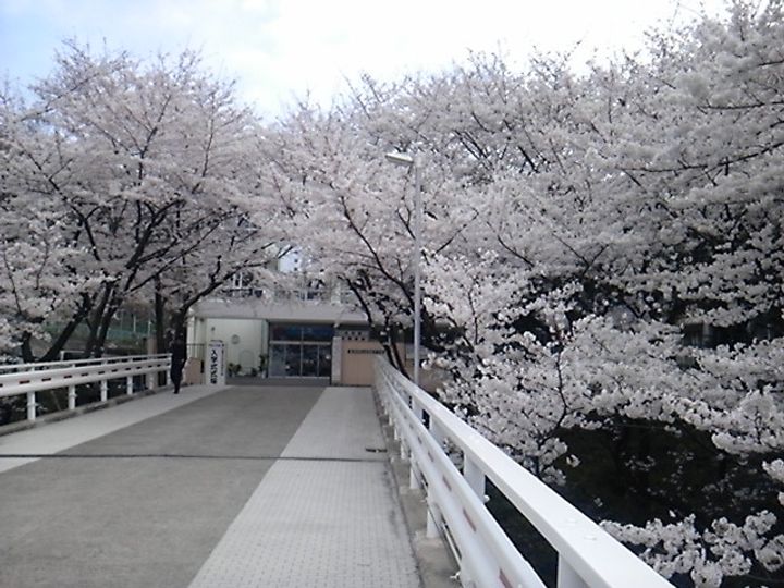 セイキハイツの周辺