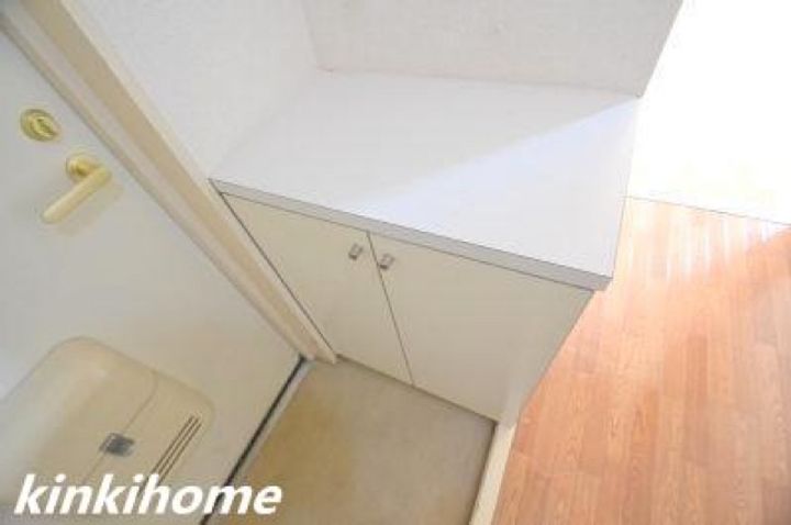 広島県広島市中区河原町(マンション)の賃貸物件の玄関