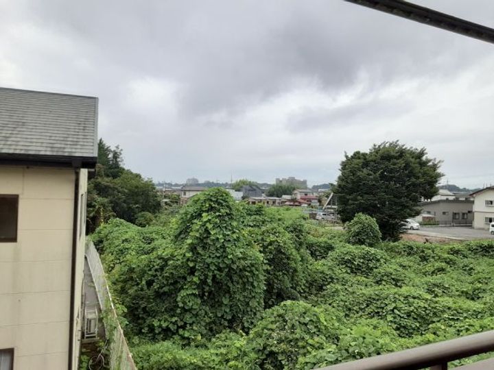 ラ・ベルクールのその他画像