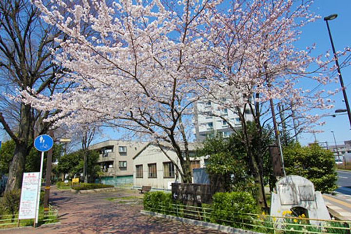 埼玉県草加市遊馬町(マンション)の賃貸物件の周辺