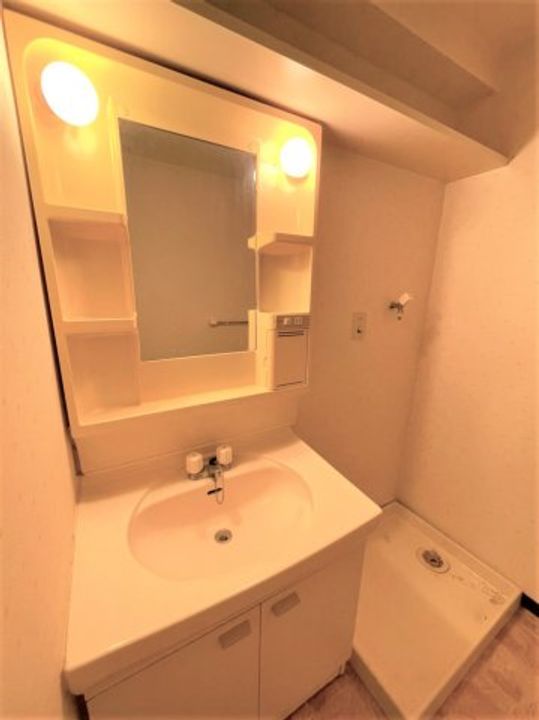 埼玉県川口市並木3(マンション)の賃貸物件の内装