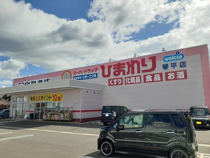 香川県善通寺市大麻町(アパート)の賃貸物件の周辺