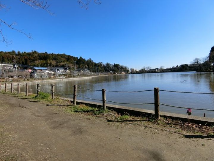 千葉県東金市東金(一戸建)の賃貸物件のその他画像