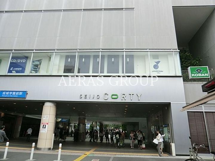 東京都世田谷区成城5(一戸建)の賃貸物件の周辺
