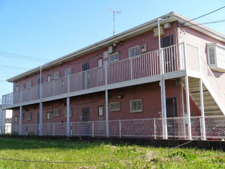 ラジカルの外観