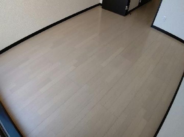 レオネクストレオルピナスIIの内装