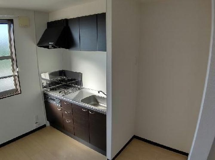 レオネクストレオルピナスIIのキッチン