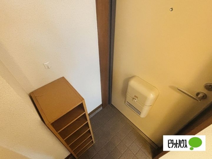 ライトコートの玄関