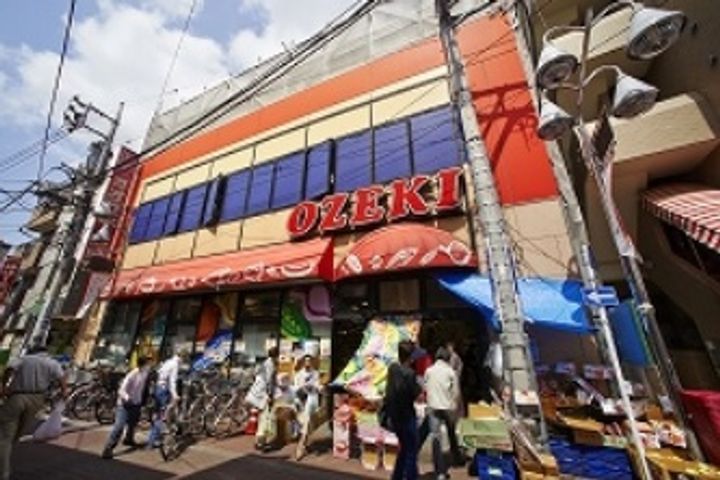 東京都大田区西嶺町(マンション)の賃貸物件の周辺